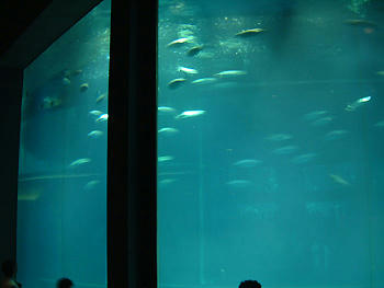 2008_0721_100233AA.jpg