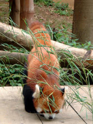 2008_0726_231051AA.jpg
