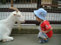 2008_0726_232139AA.jpg