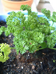 2008_0823_153023AA.jpg
