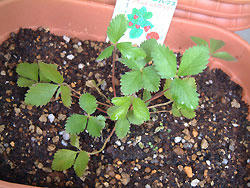 2008_0823_153050AA.jpg