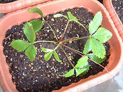 2008_0826_152847AA.jpg