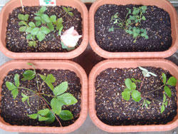 2008_0826_153057AA.jpg