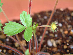 2008_0905_121332AA.jpg