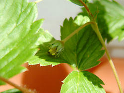 2008_0908_133942AA.jpg