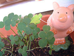 2008_0908_134032AA.jpg