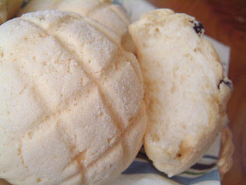 2008_0911_102716AA.jpg