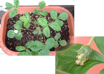 2008_0918_131503AA.jpg