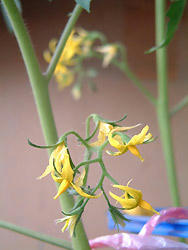 2008_0918_134924AA.jpg