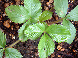 2008_0922_134029AA.jpg