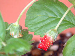 2008_0922_134029AA2.jpg