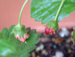 2008_0924.jpg