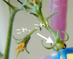 2008_1002.jpg