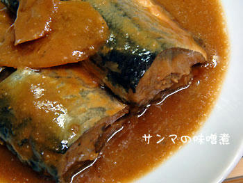 2008_1023_215520AA.jpg
