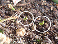 2008_1114_094808AA2.jpg