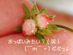 2008_1114_094946AA2.jpg