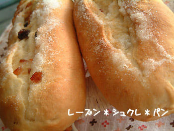 2008_1117_114538AA.jpg