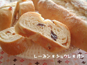 2008_1117_114842AA.jpg