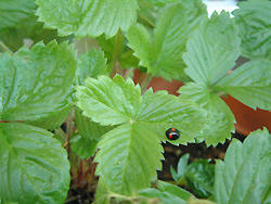 2008_1129_104947AA.jpg