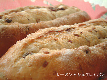 2008_1209_103819AA.jpg