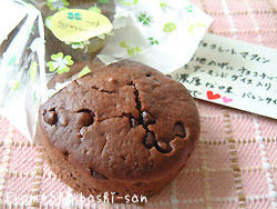 2009_0129_103858AA.jpg