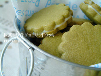 2009_0310_104721AA.jpg