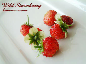 2009_0502_091050AA.jpg