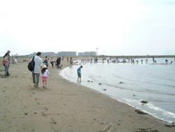 2009_0504_090112AA.jpg