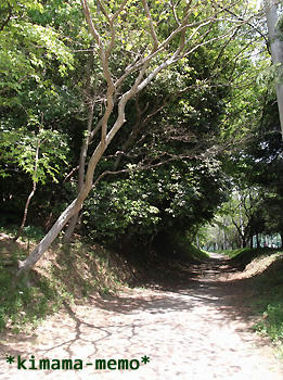 学校の風景。