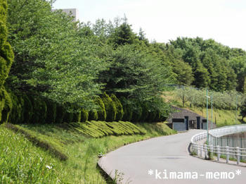 学校の風景。