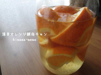 清見オレンジ酵母チャン。