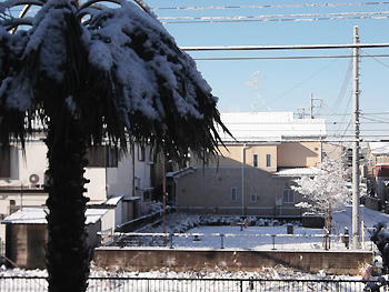 雪景色。