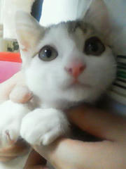201105221711000.jpg
