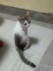 201105212218000.jpg