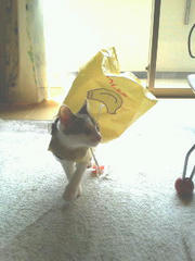 201106061518001.jpg