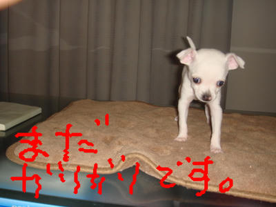 DSC03242.JPG