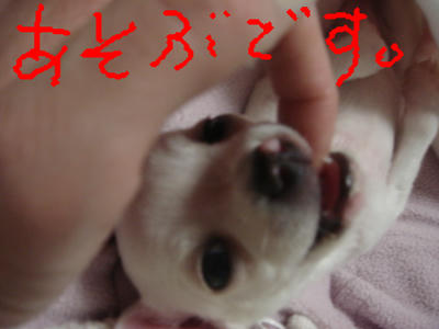 DSC03249.JPG