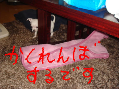 DSC03248.JPG