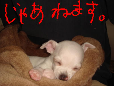 DSC03238.JPG