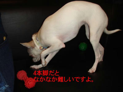 DSC04881.JPG
