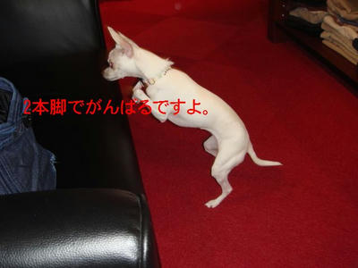 DSC04878.JPG