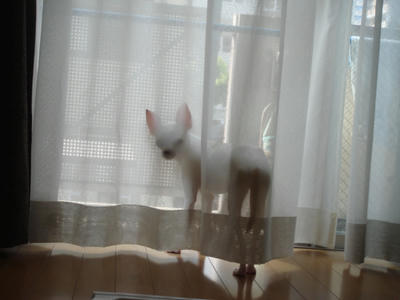 DSC05041.JPG