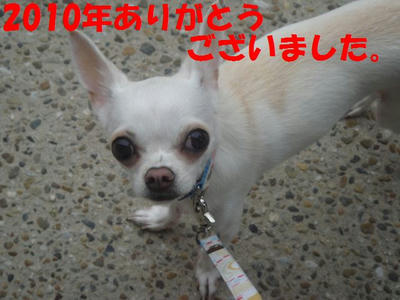 DSC06159a.jpg