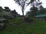 J-macaque_01_R.jpg