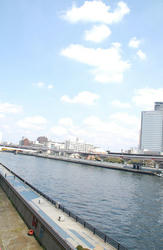隅田川(?)