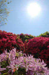 beautiful!