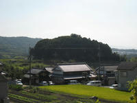IMG_1987.jpg