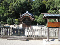 IMG_2010.jpg