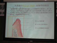 IMG_2033.jpg