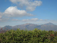 IMG_2059.jpg